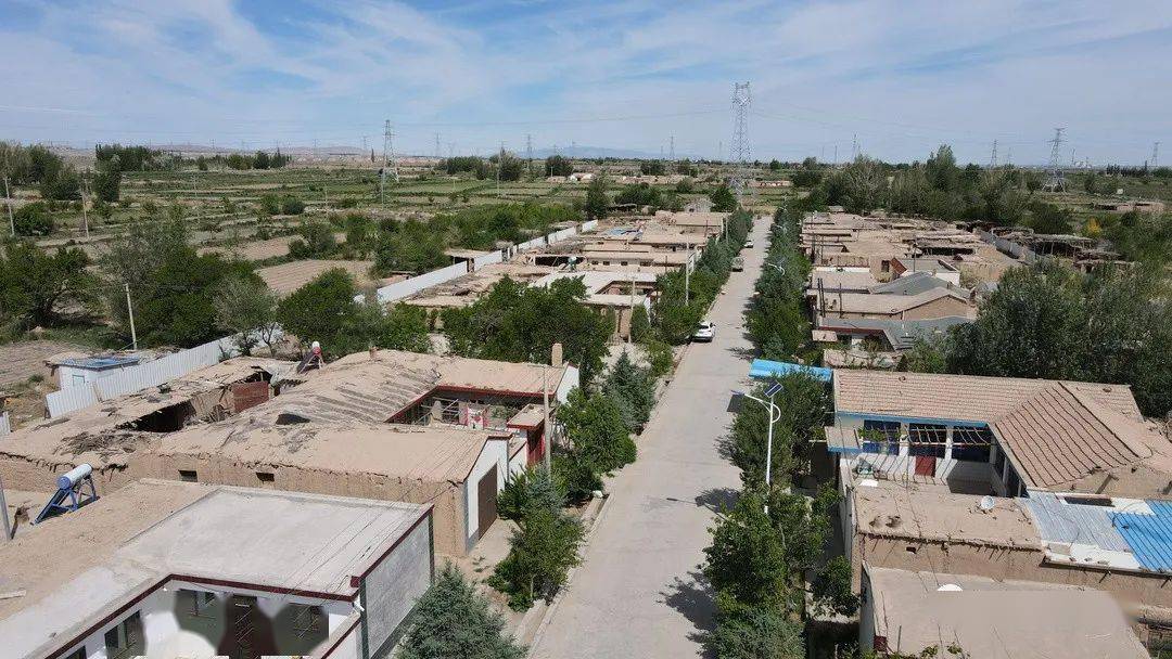 酒泉肃州多点发力绘就乡村振兴新画卷