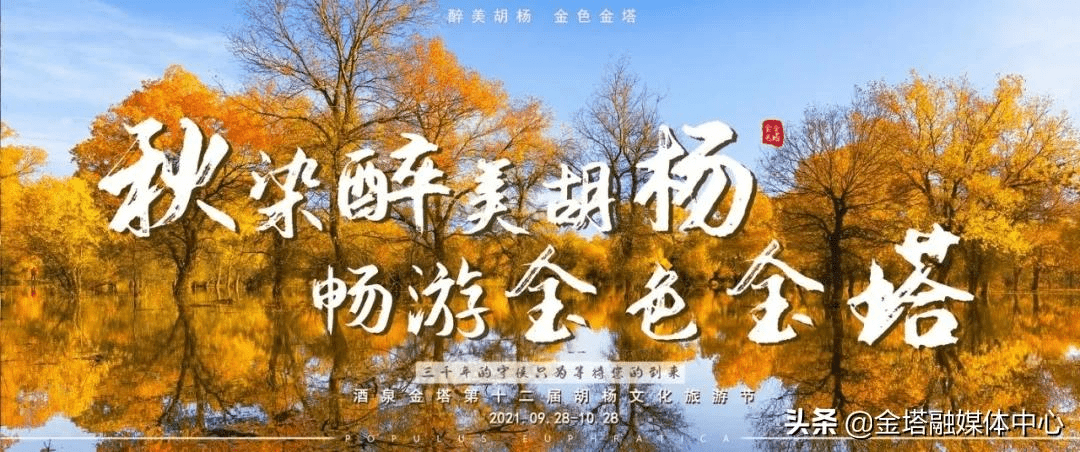 2021收本地杨树什么价格
