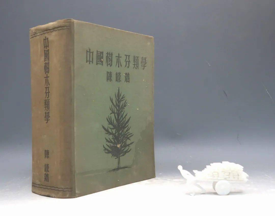 陈兼善等著·商务1950年版·多图·自然科学小丛书【1922-2】博物