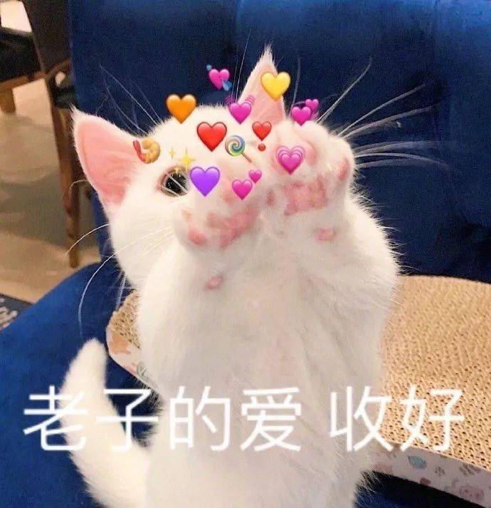 身材 还不知道怎么穿，跟这4个博主学，时髦又好看！