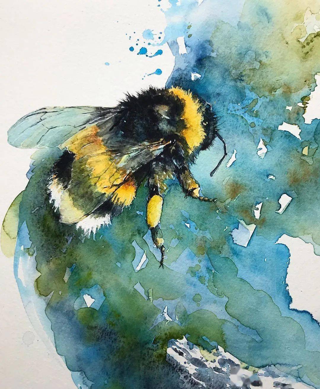 用水彩渲染自然世界,惊艳的动物便跃然纸上