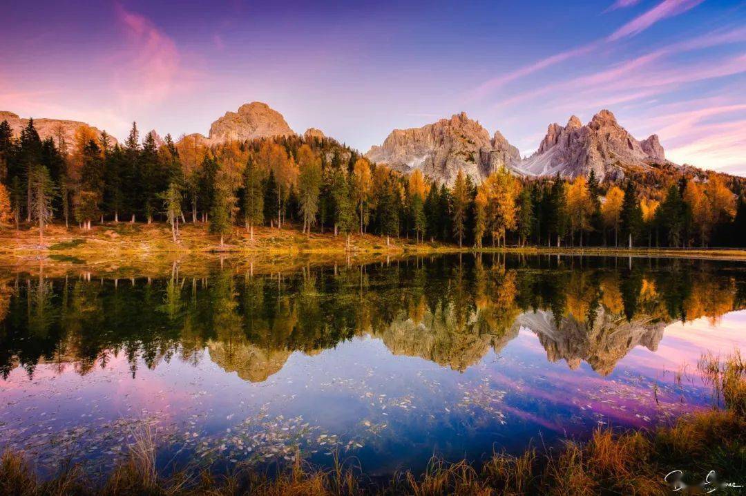 中极推荐 · 优秀摄影作品