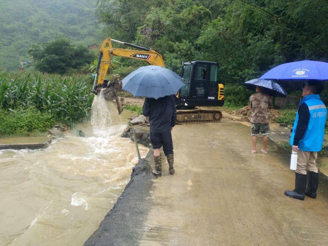 田阳县有多少人口_特困户“消失”人口普查寻求田阳供电局找人(图)(2)