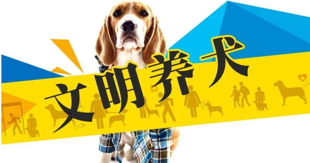 【文明養成101】文明養犬倡議