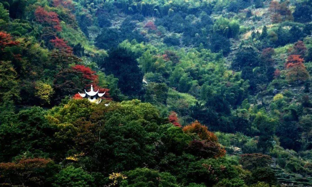 10月24日徒步西白山嵊州第一峰里寻好色之秋徒步西白山环线一日活动