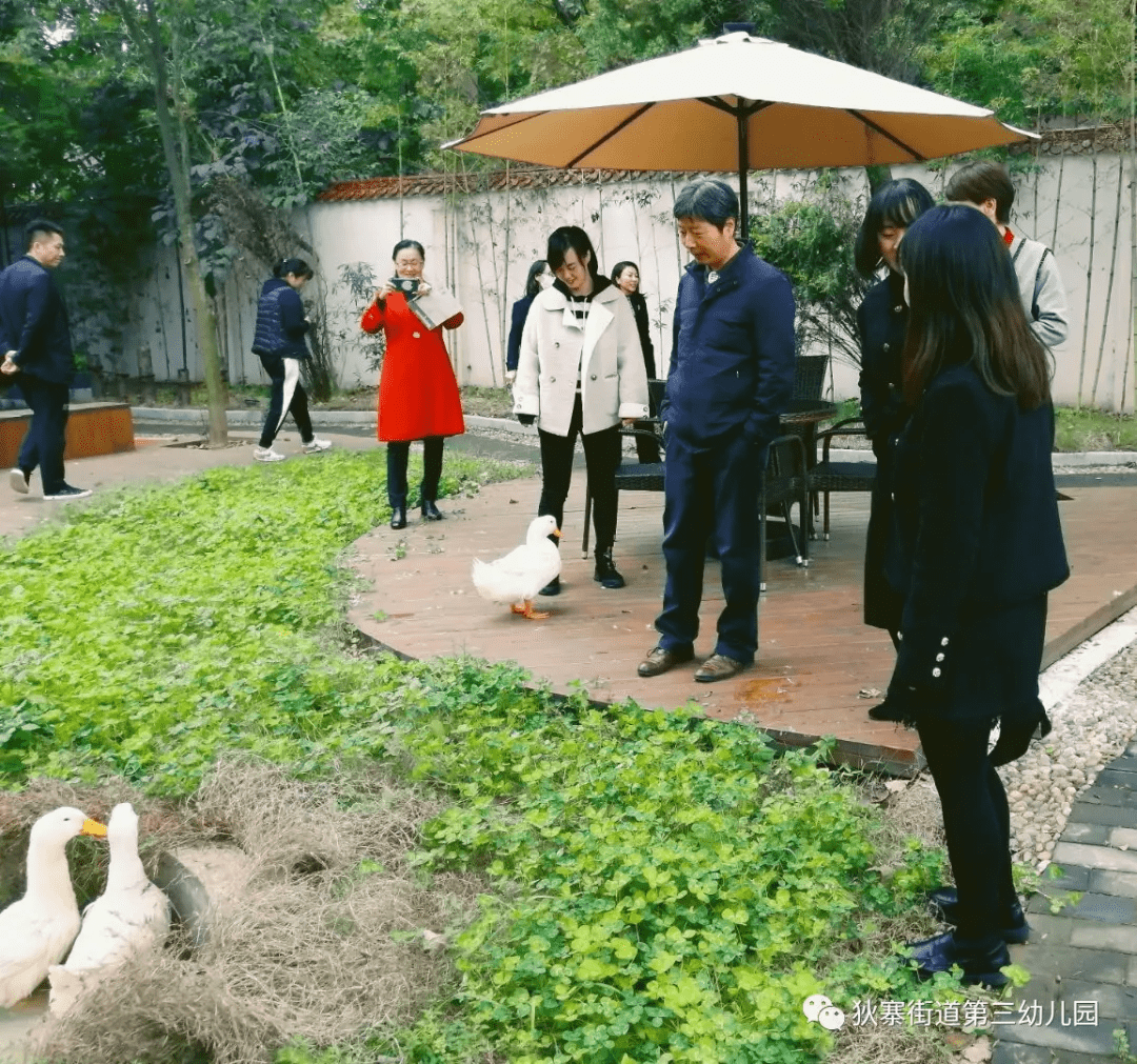 活动|灞桥区狄寨街道第三幼儿园迎接“园园行”检查活动