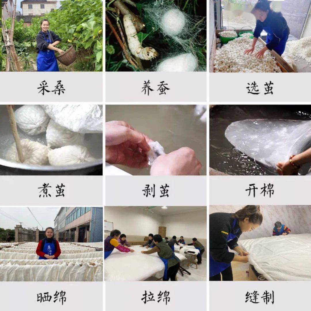 重要提醒:蚕丝被被电视台曝光了,长期盖蚕丝被的夫妻
