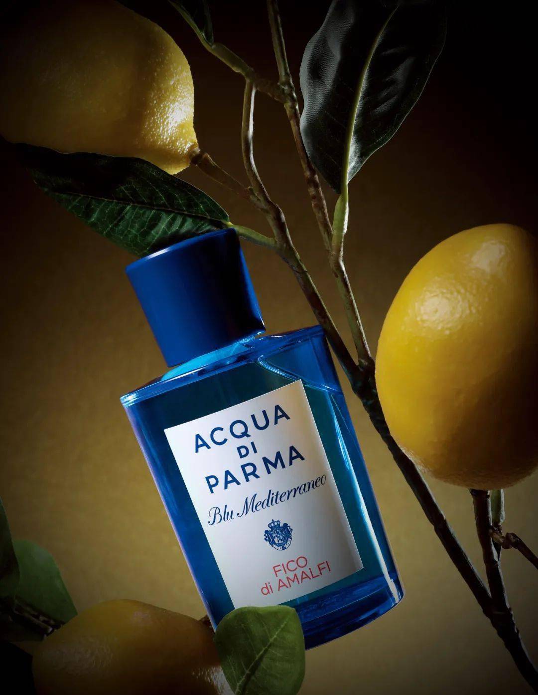 acqua di parma帕尔玛之水蓝色地中海淡香水lanvin浪凡摩登公主绽放淡