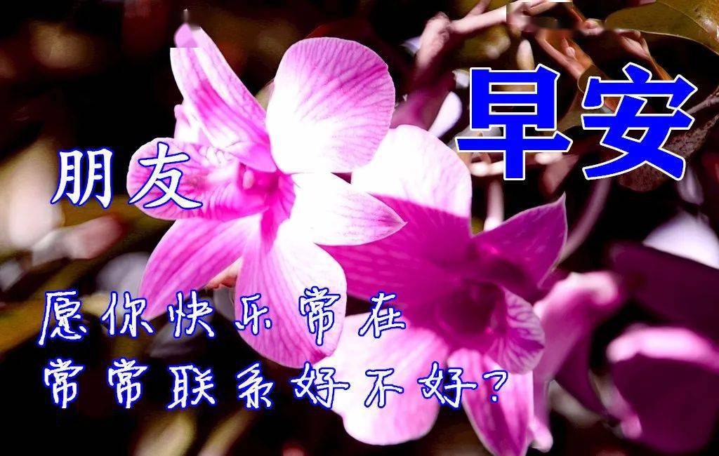 10月15日早上好动态表情图片大全,早晨好动图美图大全_问候