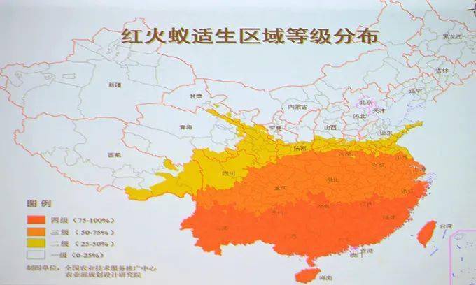 农业农村部:持续治理红火蚁疫情 切实筑牢生物安全屏障