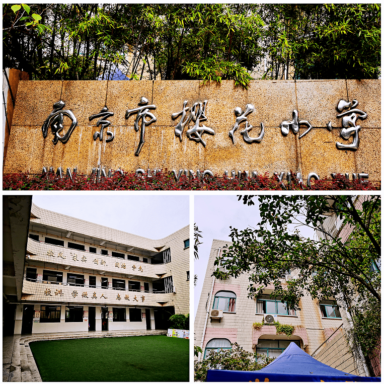 校园新闻扬子小记者走进南京市樱花小学小才子们来领喜报啦