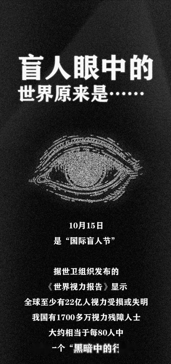 国际盲人节:他们看不见我们,但我们应该看见他们