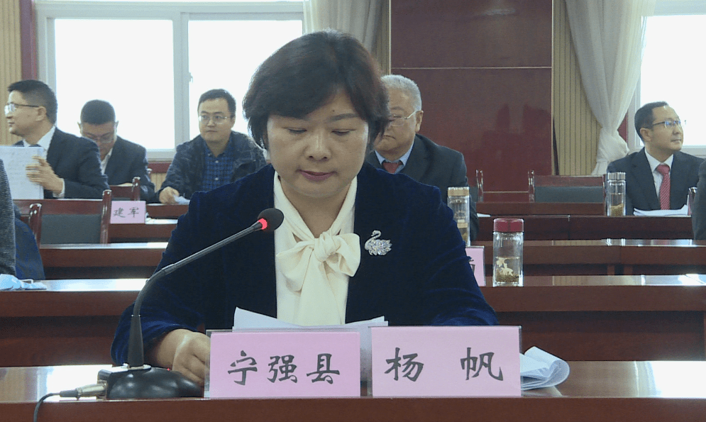 我市参加省级全域旅游示范区验收电视陈述会议_宁强