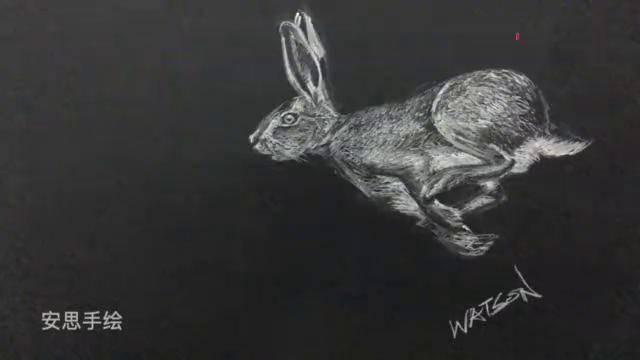 粉笔画高速移动中的兔子不是照片它是黑板粉笔画