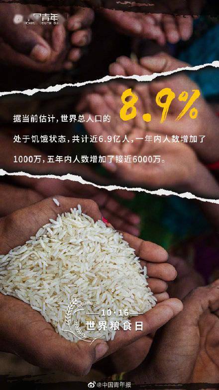 食物|关于粮食你可能不知道的事实