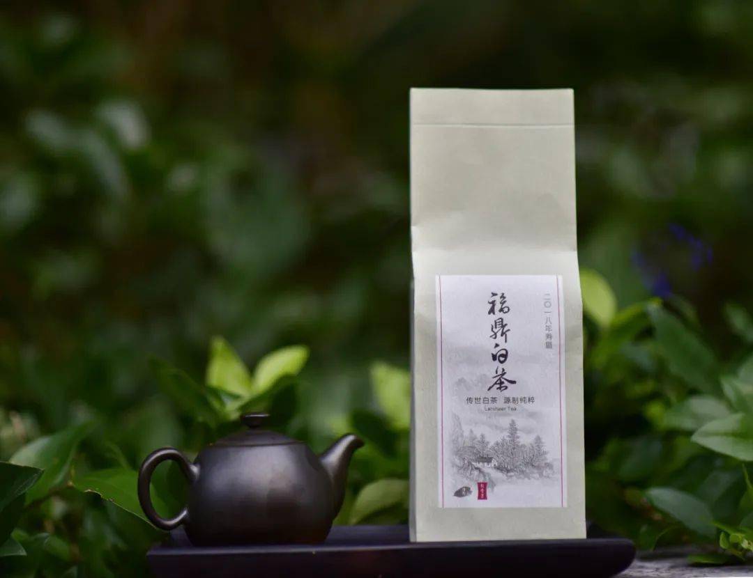 来宁德品福茶| 福鼎白茶：绿雪灵芽古法天成_毛里塔尼亚_新闻_