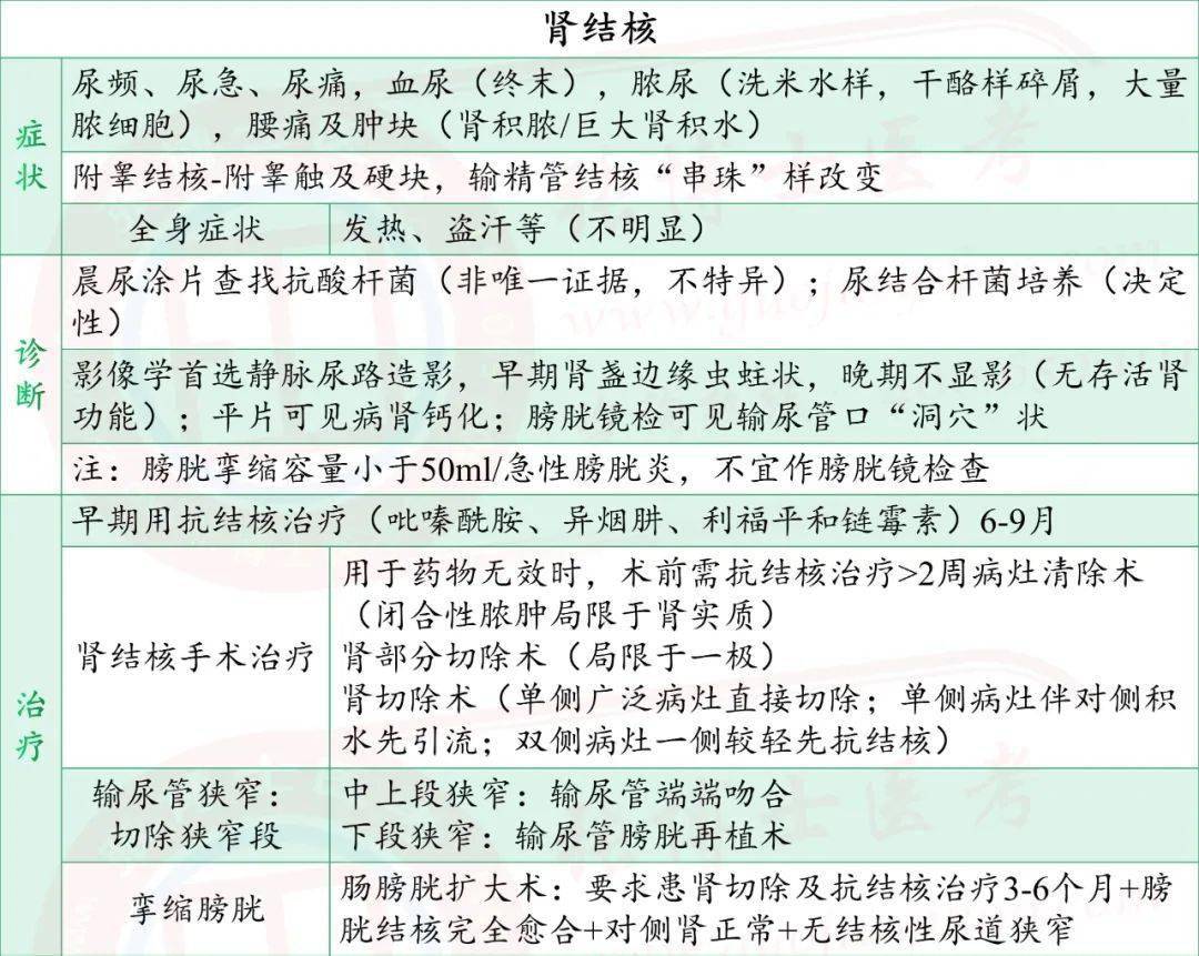 【临床】泌尿系统知识点(5)