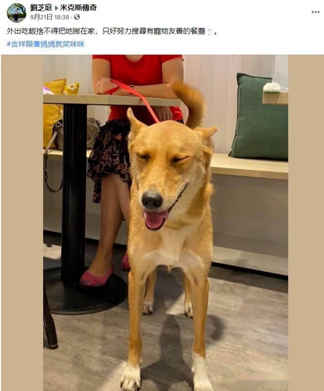 早上睡觉梦见亲戚养的狗死了，解读梦境背后的深层含义