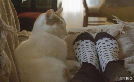 双脚|科学研究证明，穿袜子睡觉可以让你提前15分钟进入梦乡，晚上醒来的次数也会少得多