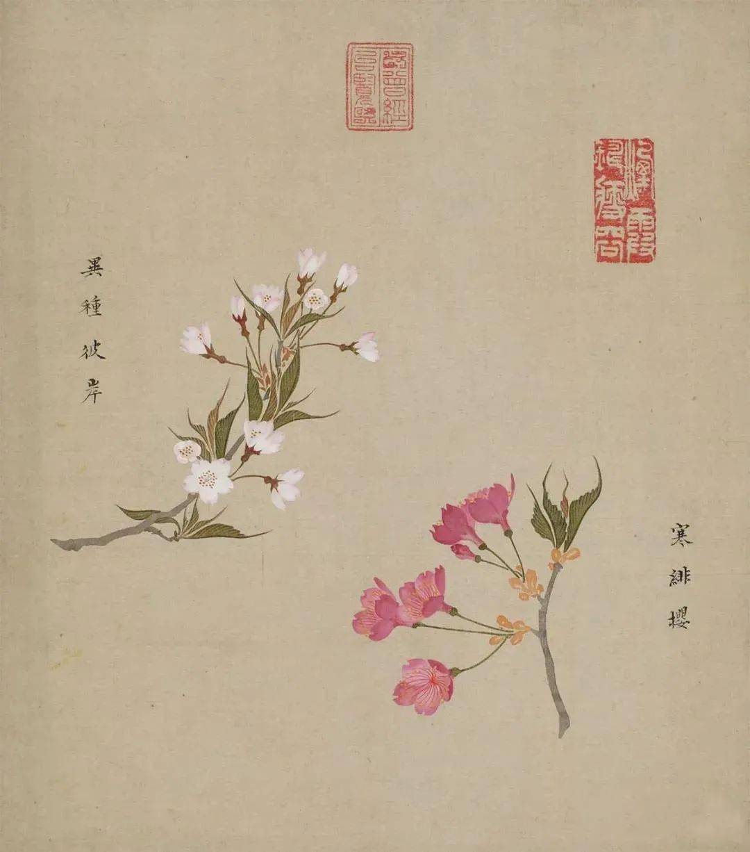 樱花简谱日本_日本民歌樱花简谱(3)