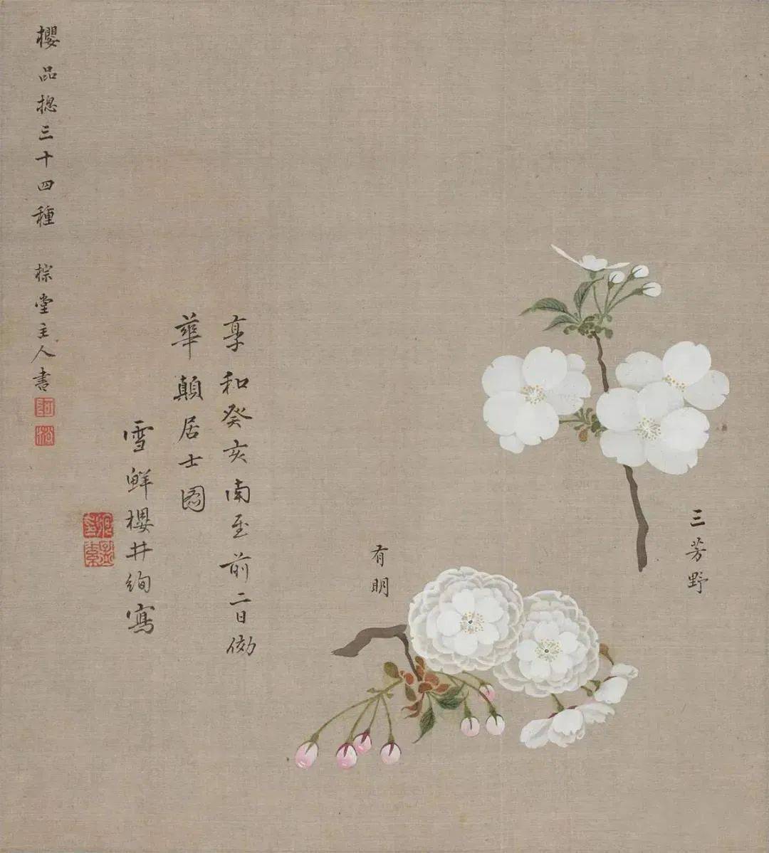 樱花简谱日本_日本民歌樱花简谱(3)