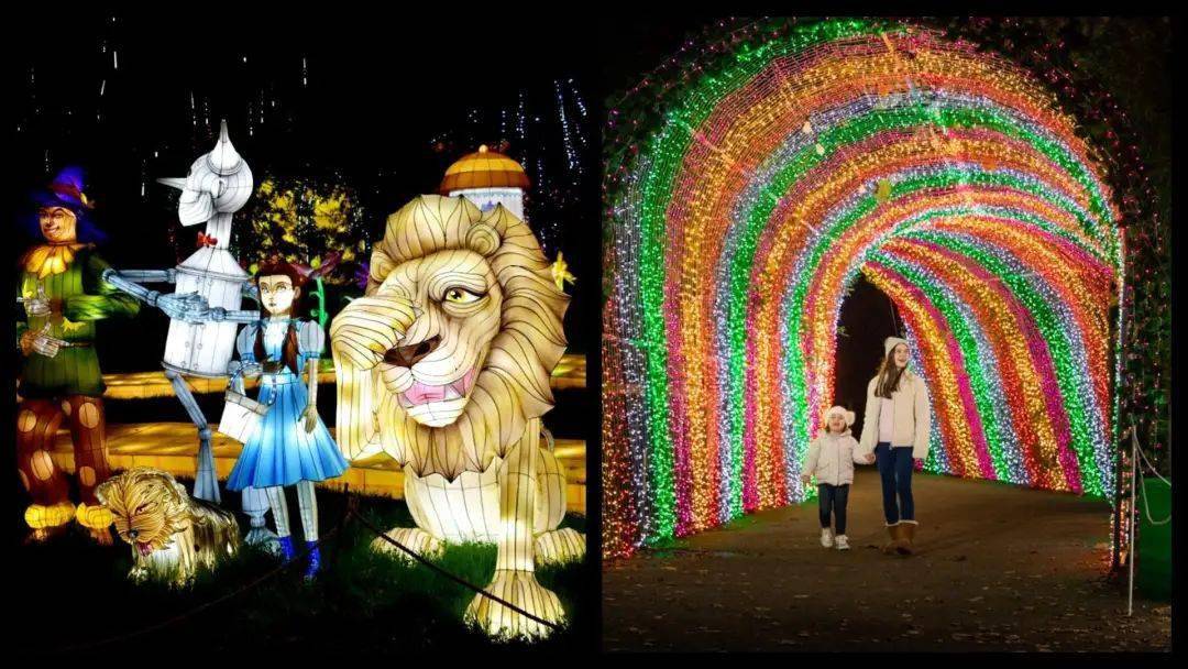 都柏林動物園大型燈展活動