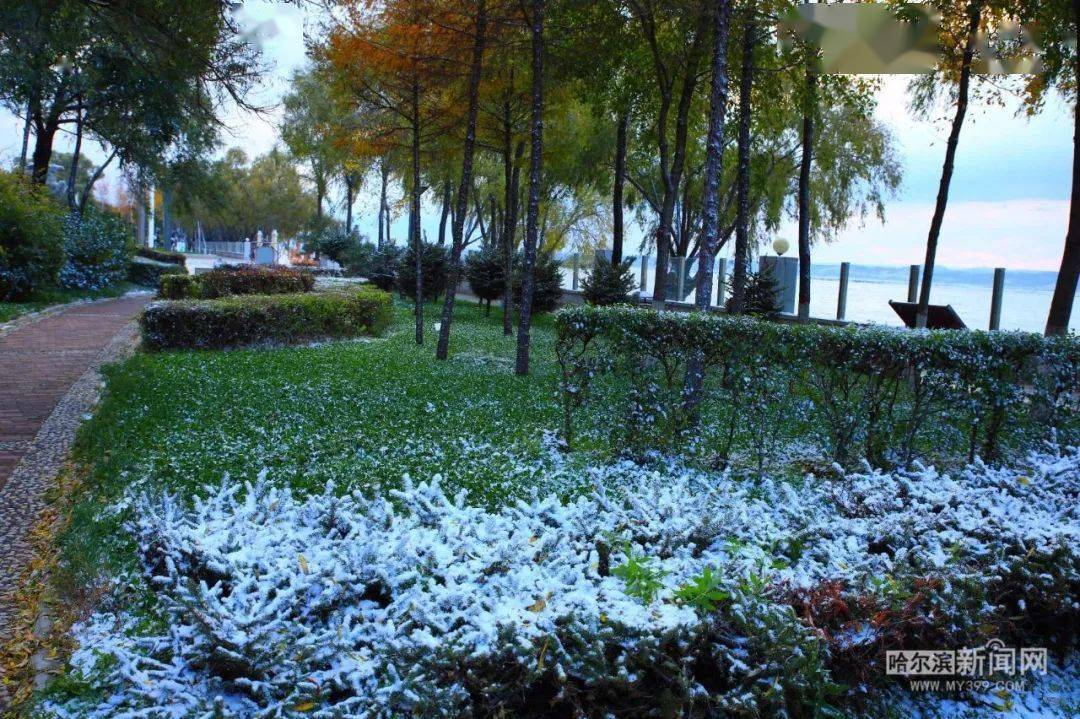 上海雨夹雪图片图片