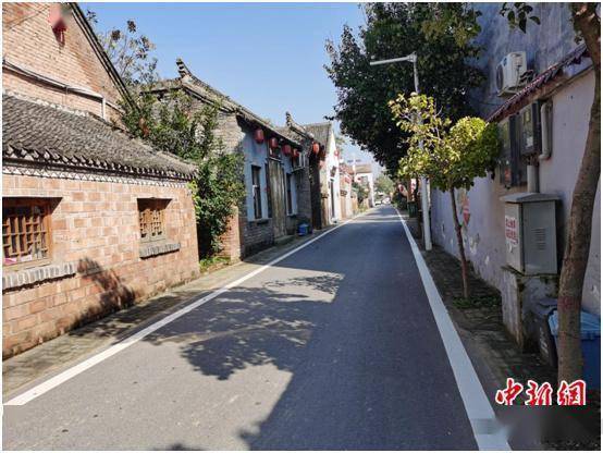 图为张庄村平整干净的路面.张尼 摄