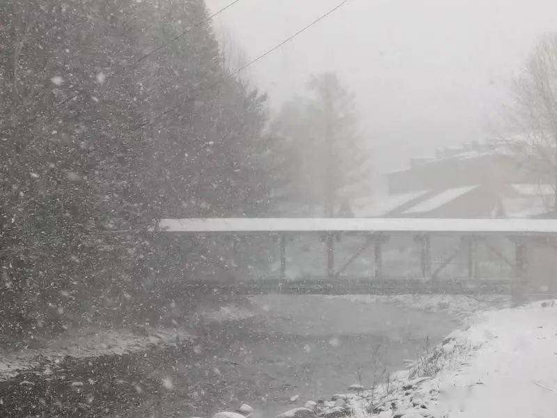 哈尔滨|黑龙江省多地迎来第一场雪！强冷空气来袭，大部地区最高气温10℃以下