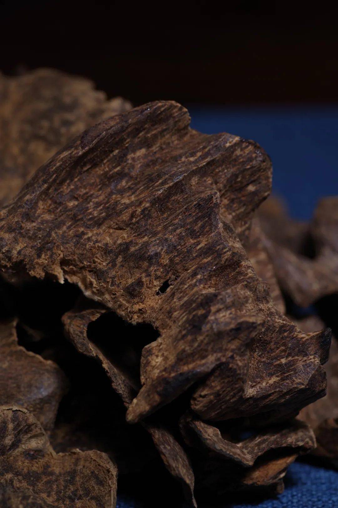 沉香在生活中的神奇作用(一定要看和分享)为何如今中药方中难见沉香?