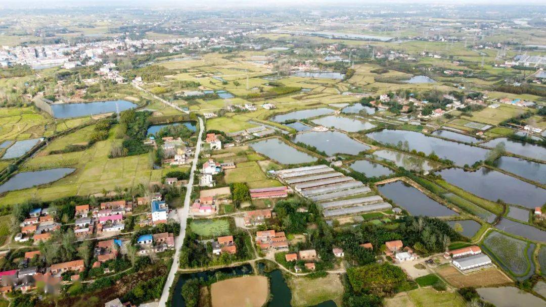 魅力潢川乡镇行产业之花齐绽放伞陂发力展新颜