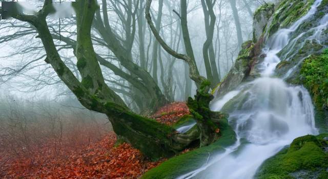 时候秋天的慢门怎么拍出与众不同的感觉？有5条捷径可走！