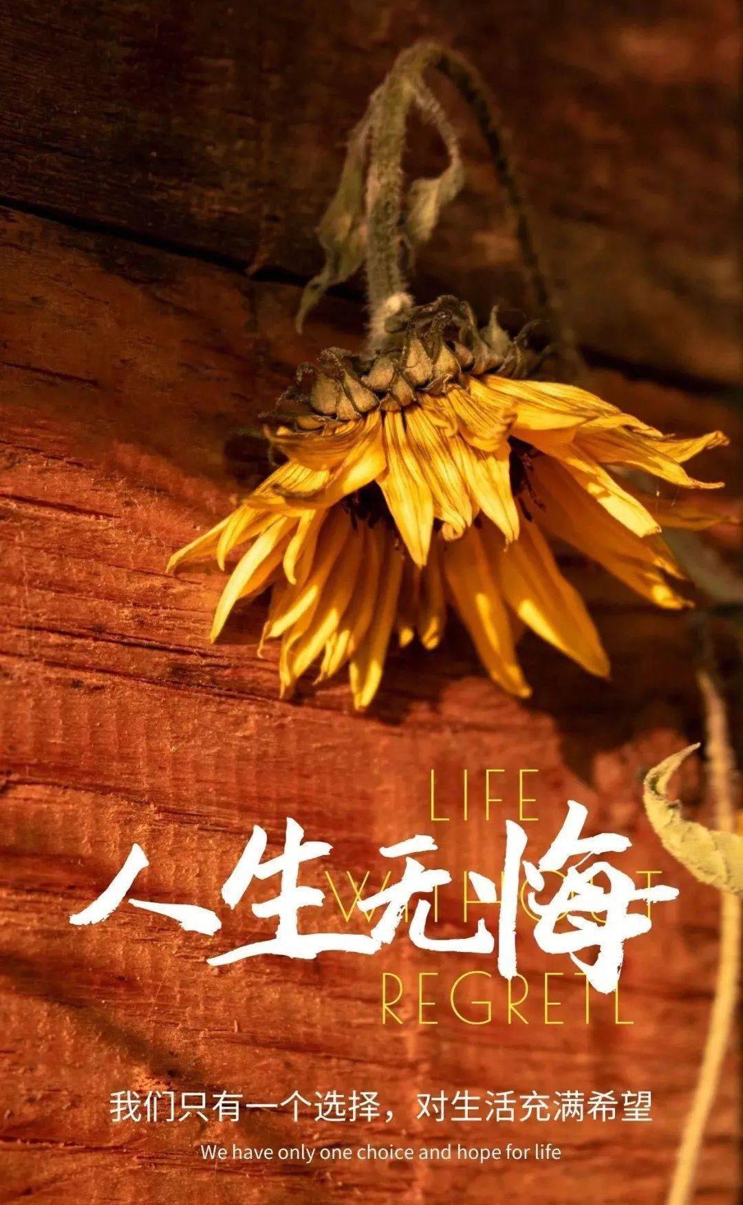 坚强的人,并不是能应对一切,而是能忽视所有的伤害,总有些事,管你愿不