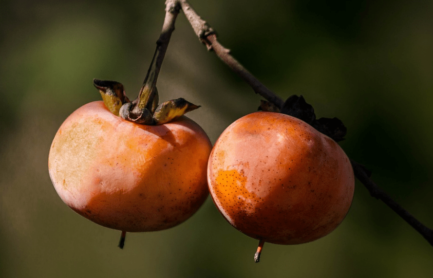 水果|贪吃这种水果，男子体内长出“巨石”！很多海南人也爱吃……