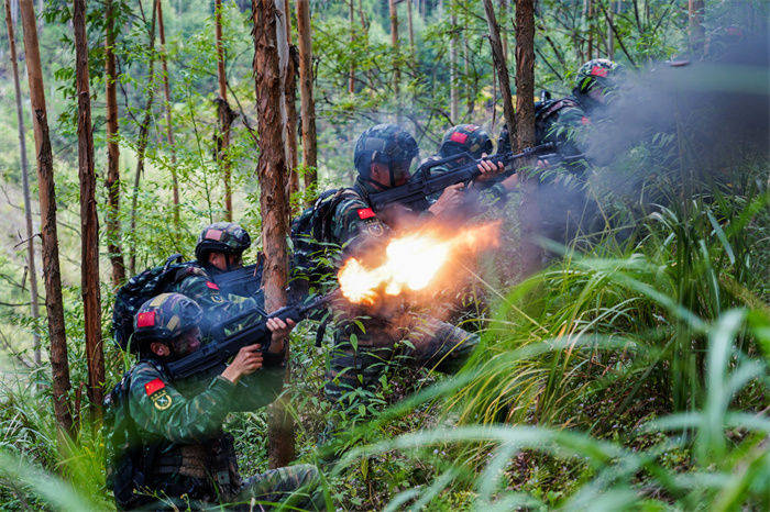 密林深處鏖戰酣武警廣西總隊來賓支隊特戰小隊實戰化訓練影像