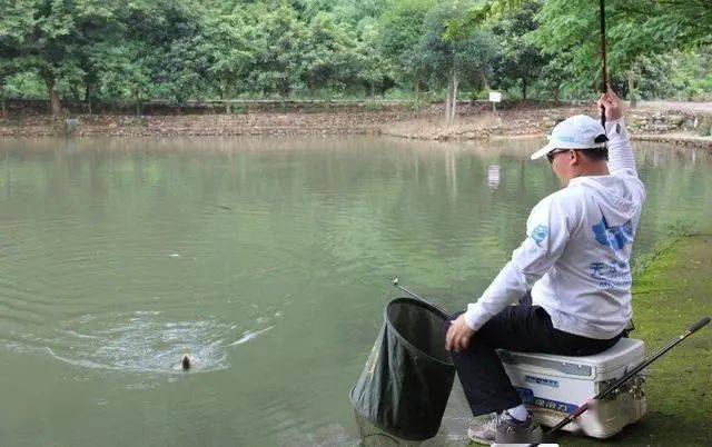 多节鱼竿容易断吗 53d0d6ed555341a8801686cd02ec64b0.jpeg