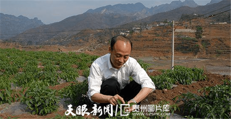 英雄辈出光耀黔贵他把生命献给脱贫攻坚事业追记全国脱贫攻坚楷模