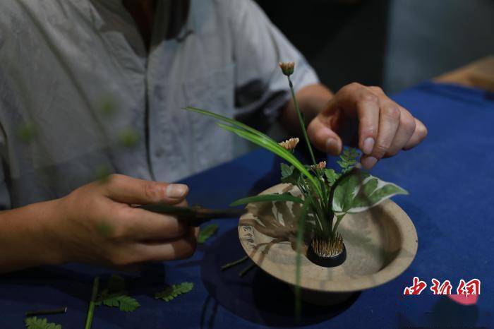 湖州|浙江“民间花王”：贩卖浪漫三十载 重现中国文人花道