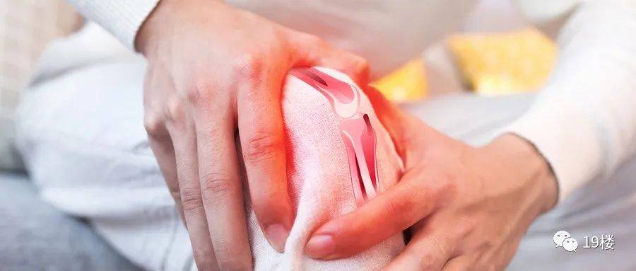 膝盖|23岁杭州姑娘因为裤子太短…进了医院