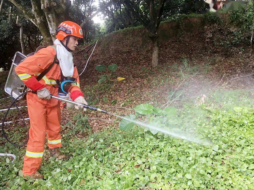 風力滅火機,水囊,高壓細水霧滅火機,森林滅火模塊車等山林滅火裝備