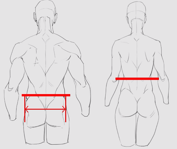 背肌画法图片