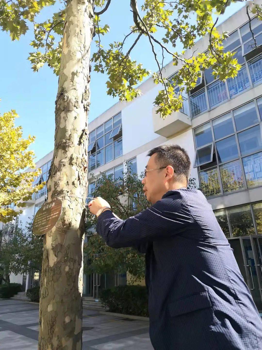 【二实验61快讯】爱绿护绿,从我做起——记2020级晨曦15班挂树牌