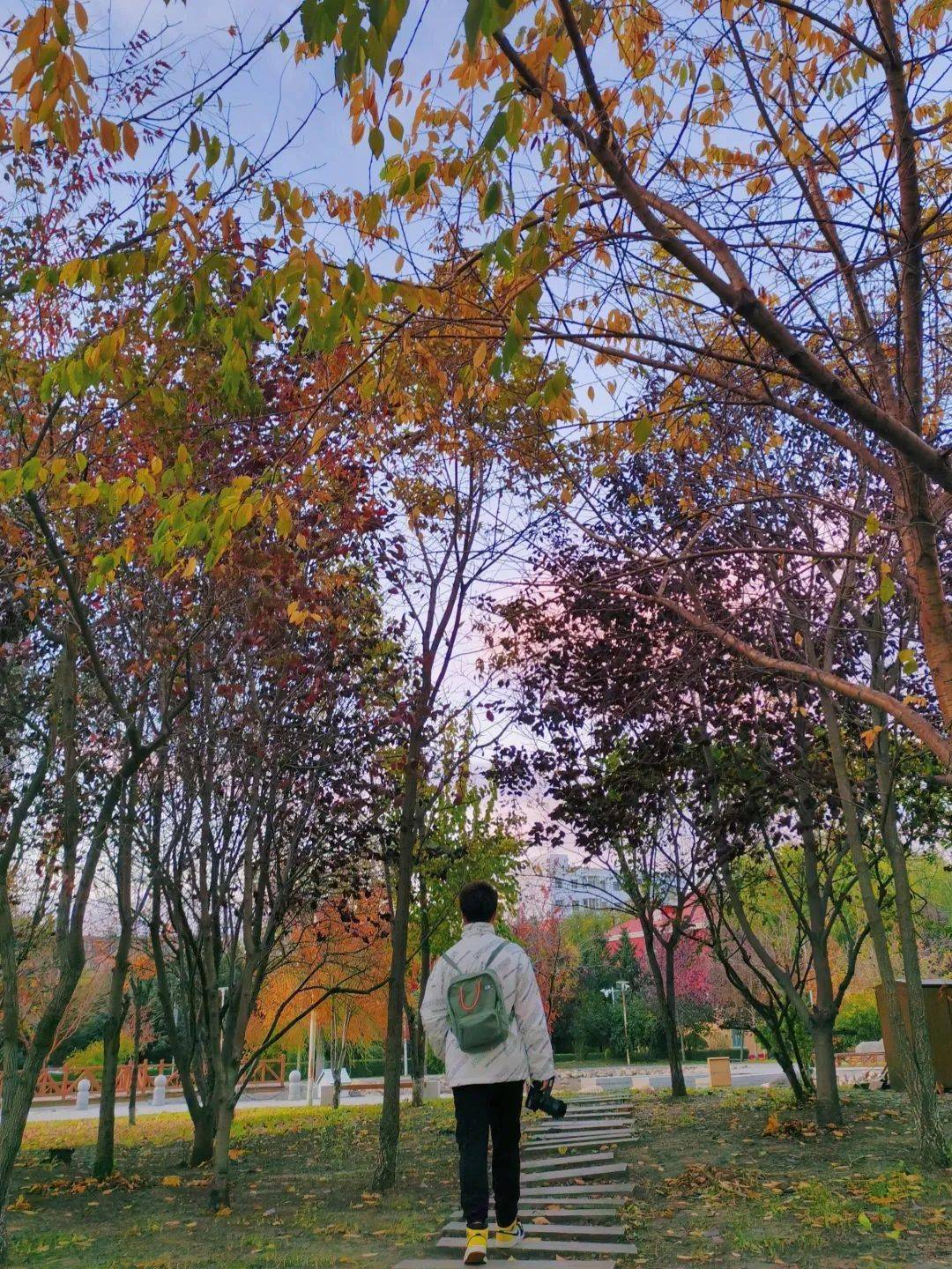 什么时候进入秋天 e967c6acd5464496a6347b8369acfbc8.jpeg