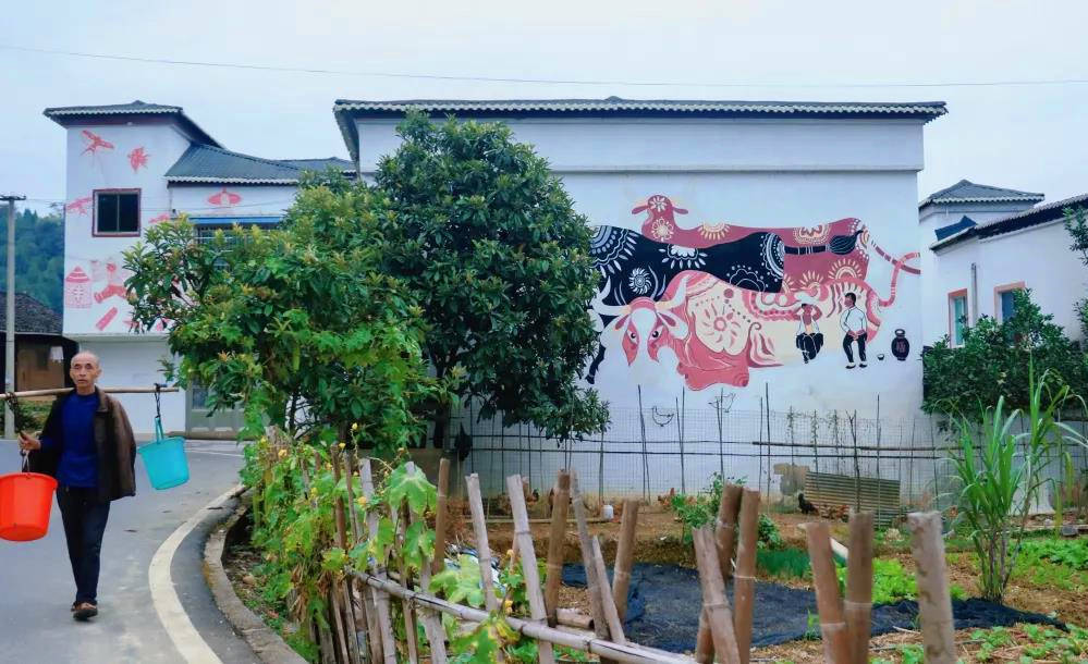 碧江有个“涂鸦村”，家家户户都美成一幅画