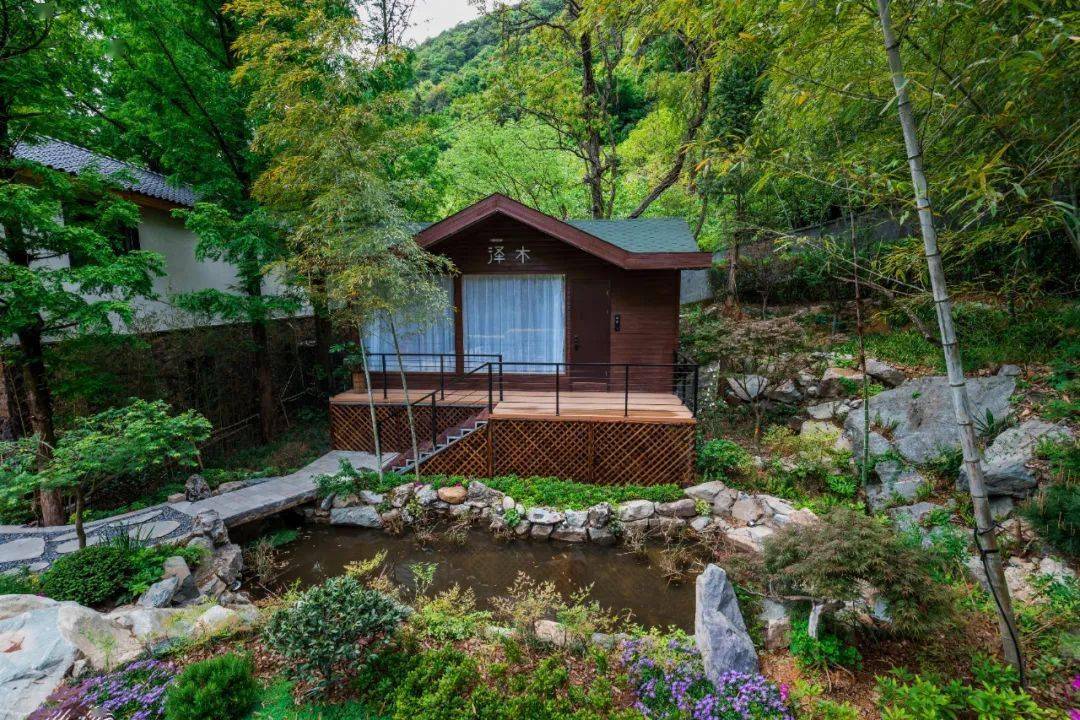 打卡好评榜79丨金华山上的秘境民宿推开窗恍若置身森林享360自然