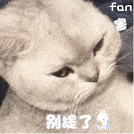 聊天可爱动图表情包