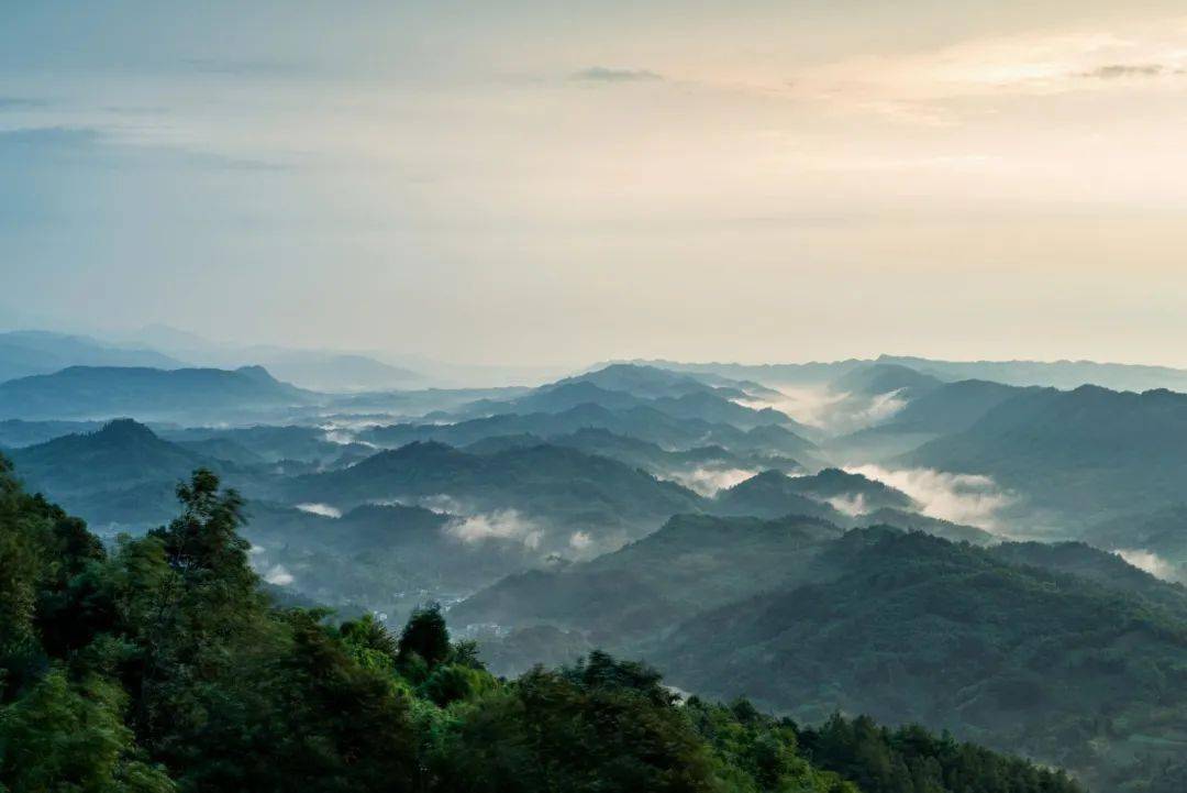 女生|交广夜听｜29岁女生脏器衰竭，可怕真凶曝光：别纵欲了，人死万事空