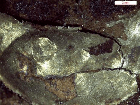 图3 铁基体有锈蚀孔洞(1:12.