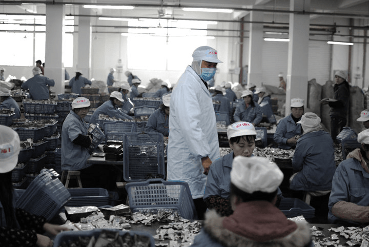 上世纪末,湘潭槟榔加工,经营者就达到了4000余户,年销售槟榔达700余吨