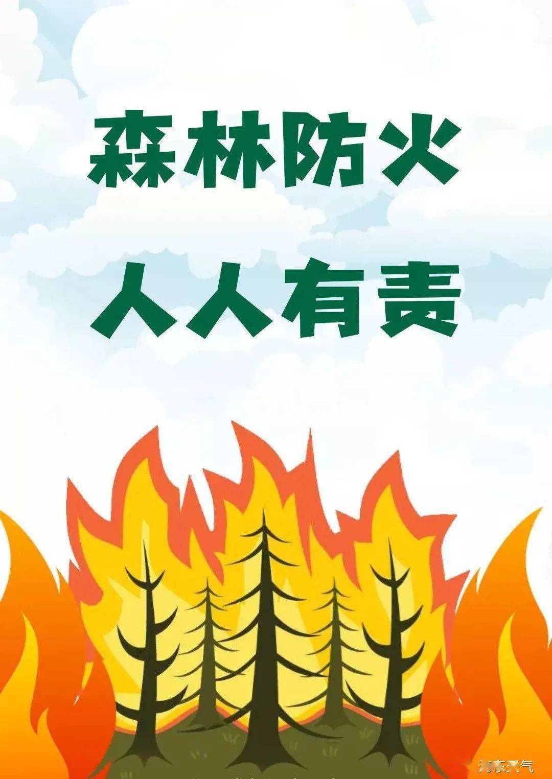 我國森林草原防火工作的方針:按照2008年11月19日國務院第36次常務